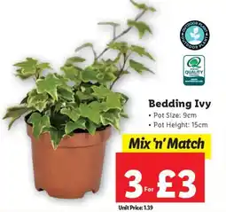 Lidl Bedding Ivy offer