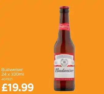 Bestway Budweiser offer