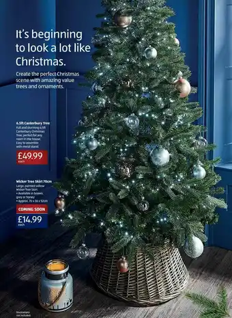Aldi Canterburry Tree offer