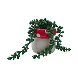 Morrisons Nutmeg Home Toadstool Trailing Faux Floral offer