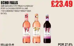 Bestway ECHO FALLS offer