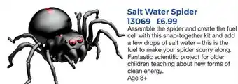 Mulberry Bush Salt Water Spider offer