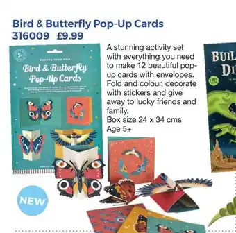 Bird & Butterfly Pop-up Cards
