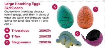 Large Hatching Eggs