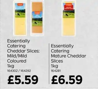 Bestway Cheddar Slices Mild-Mild Coloured Essentially Catering Mature Cheddar Slices offer