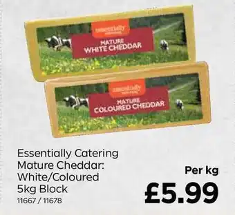 Bestway Essentially Catering Mature Cheddar White-Coloured offer