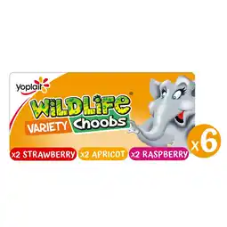 Morrisons Wildlife Choobs Kids Strawberry, Raspberry & Apricot Yoghurt Tubes offer