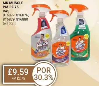 Bestway MR MUSCLE offer