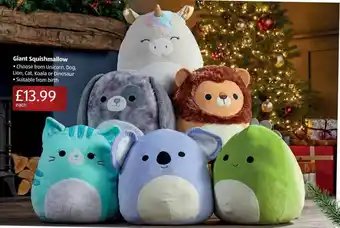 Aldi Giant Squishmallow offer