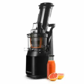 Costco Fridja Powerful Masticating Juicer and Fruit Ice Cream Maker, F1900 offer