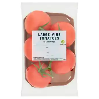 Sainsbury's Sainsbury's Large Vine Tomatoes 500g offer