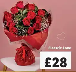 Lidl Electric Love offer