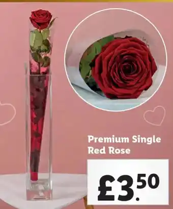 Lidl Premium Single Red Rose offer