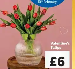 Lidl Valentine's Tulips offer