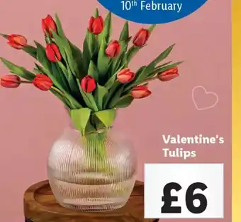 Lidl Valentine's Tulips offer