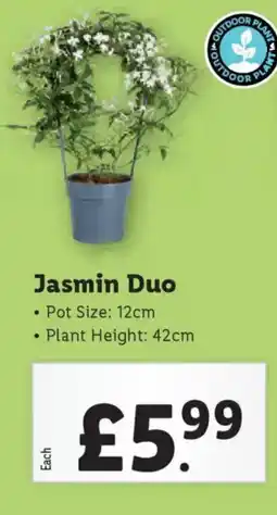 Lidl Jasmin Duo offer