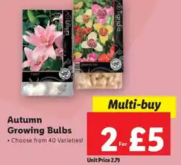 Lidl Autumn Growing Bulbs offer