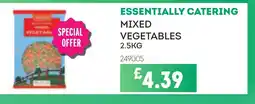 Bestway ESSENTIALLY CATERING Mixed vegetables offer