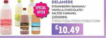 Bestway DELAMERE Strawberry/banana/ vanilla chocolate/ salted caramel offer