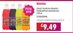 Bestway BIGGA Fruit punch/grape/ pineapple/jamaican cola offer