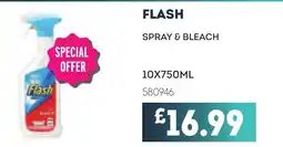 Bestway FLASH Spray & bleach offer