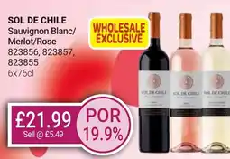 Bestway SOL DE CHILE Sauvignon Blanc/ Merlot/Rose offer