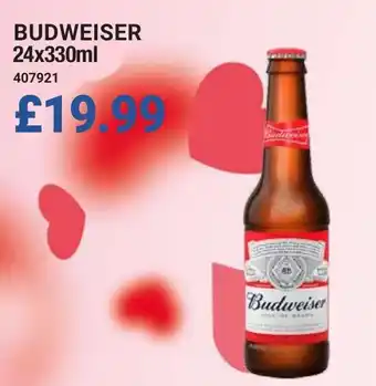 Bestway BUDWEISER offer