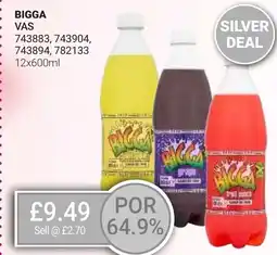 Bestway BIGGA offer