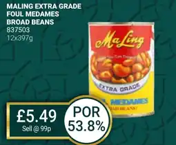 Bestway Maling extra grade foul medames broad beans offer