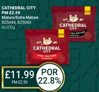 Bestway CATHEDRAL CITY Mature/Extra Mature offer