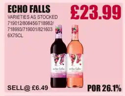 Bestway ECHO FALLS offer