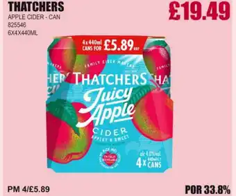 Bestway THATCHERS Apple cider - can offer