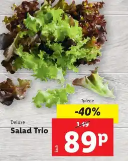 Lidl Deluxe Salad Trio offer