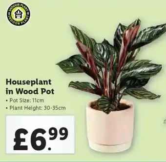 Lidl Houseplant in Wood Pot offer