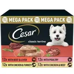 Tesco 48 x 150g Cesar Classic Terrine Adult Wet Dog Food Trays Mixed Selection offer