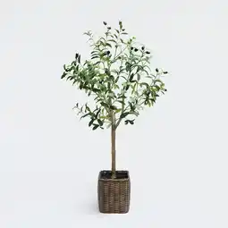 Tesco OHS Home Decor Artificial Olive Tree In Pot Plant, 110cm - Green offer