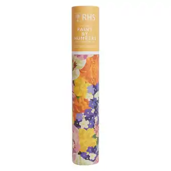 Tesco RHS Paint By Numbers Hanging Kit With 24 Paints, 3 Brushes, 400 x 500 mm, Floral offer