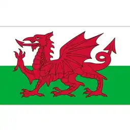 Tesco Wales Flag 5 x 3 ft offer