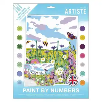 Tesco Artiste Paint By Numbers, Wild Meadow, Single Pack offer