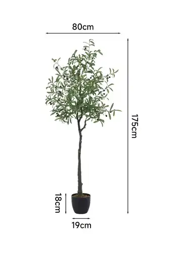 Tesco Living and Home Artificial Olive Tree Decorative Plant in Planter - 170cm Green offer