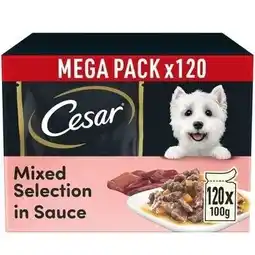 Tesco 120 x 100g Cesar Sauce Selection Adult Wet Dog Food Pouches Mixed in Gravy offer