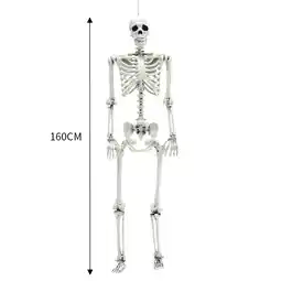 Tesco Living and Home Halloween Realistic Full Body Skeleton Posable Prop - 160cm offer