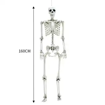 Tesco Living and Home Halloween Realistic Full Body Skeleton Posable Prop - 160cm offer