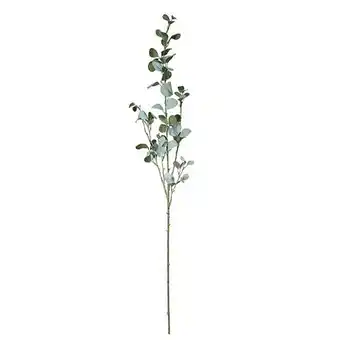 Tesco Green Jade Eucalyptus Stem Decoration 95cm offer