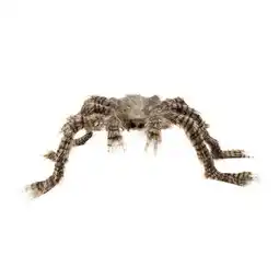 Tesco Hairy Spider Halloween Prop Decoration 70cm offer