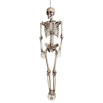 Tesco Halloween Skeleton Lifesize Hanging Prop Decoration 150cm offer