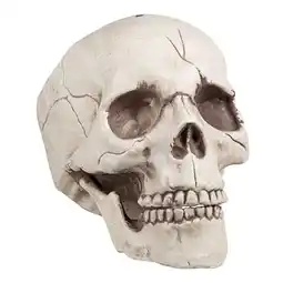 Tesco Skull Jawbone with Movable Jaw Halloween Prop Decoration 16cm offer