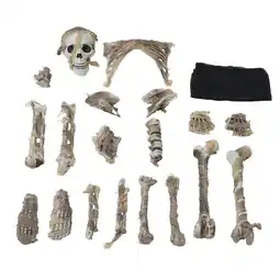 Tesco Living and Home Halloween Realistic Skull & Bone Skeleton Decor Kit offer