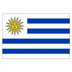 Tesco Uruguay Flag - 5 x 3 Ft offer