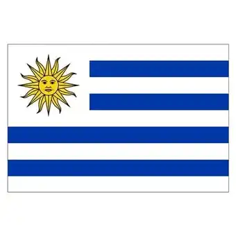 Tesco Uruguay Flag - 5 x 3 Ft offer